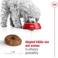 New Royal Canin - Dry Royal Canin - Mini 12+ Ageing Dog Dry Food (1.5kg)