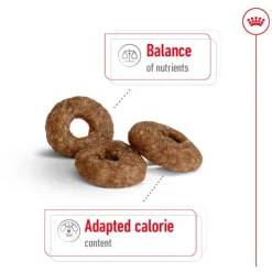 New Royal Canin - Dry Royal Canin - Mini 12+ Ageing Dog Dry Food (1.5kg)
