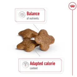 New Royal Canin - Dry Royal Canin - Mini 8+ Mature Dog Dry Food (2kg)