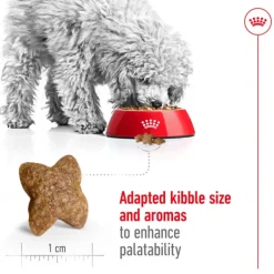Best Royal Canin - Dry Royal Canin - Mini Adult Dog Dry Food (4kg)