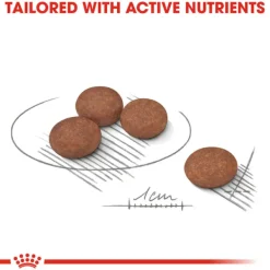 Sale Royal Canin - Dry Royal Canin - Mini Adult Digestive Care Dog Dry Food (3kg)