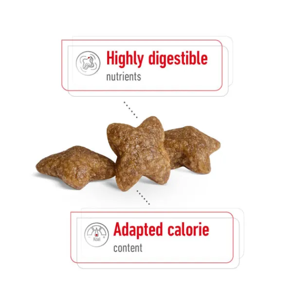 Best Royal Canin - Dry Royal Canin - Mini Adult Dog Dry Food (4kg)