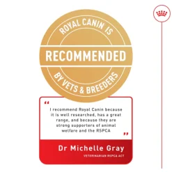 Clearance Royal Canin - Dry Royal Canin - Mini Adult Light Weight Care Dog Dry Food (3kg)