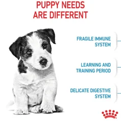 Online Royal Canin - Dry Royal Canin - Mini Puppy Dog Dry Food (2kg)