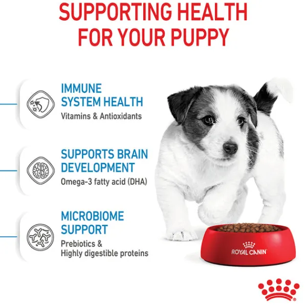 Outlet Royal Canin - Dry Royal Canin - Mini Puppy Dog Dry Food (4kg)