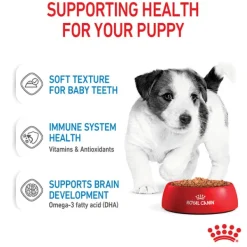 Sale Royal Canin - Wet Royal Canin - Mini Puppy Dog Wet Food (85g x 12pk)