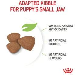 Online Royal Canin - Dry Royal Canin - Mini Puppy Dog Dry Food (2kg)