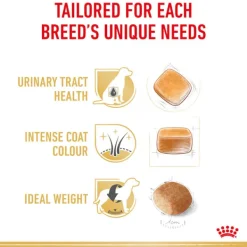 Sale Royal Canin - Dry Royal Canin - Miniature Schnauzer Breed Adult Dog Dry Food (3kg)