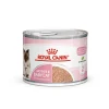 Clearance Royal Canin - Wet Royal Canin - Mother & Babycat Wet Food (195g x 12pk)