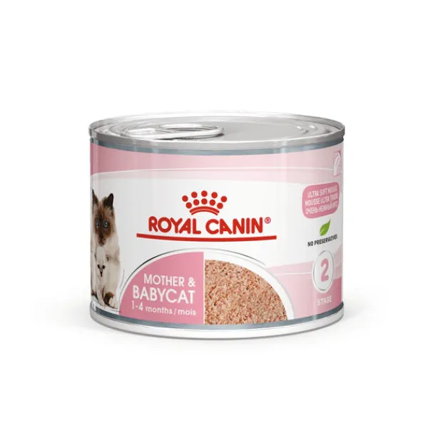 Clearance Royal Canin - Wet Royal Canin - Mother & Babycat Wet Food (195g x 12pk)