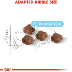 Clearance Royal Canin - Dry Royal Canin - Mother & Babycat Dry Food (4kg)