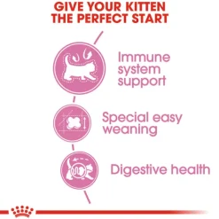Hot Royal Canin - Dry Royal Canin - Mother & Babycat Dry Food (10kg)