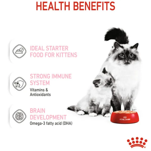 Clearance Royal Canin - Wet Royal Canin - Mother & Babycat Wet Food (195g x 12pk)