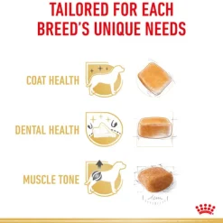 Fashion Royal Canin - Dry Royal Canin - Poodle Breed Adult Dog Dry Food (1.5kg)