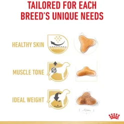Online Royal Canin - Dry Royal Canin - Pug Breed Adult Dog Dry Food (3kg)