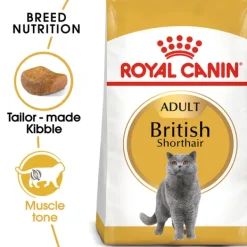 Hot Royal Canin - Dry Royal Canin - Ragdoll Breed Adult Cat Dry Food (2kg)