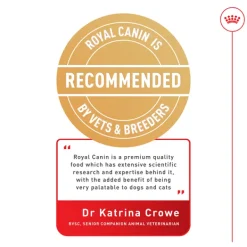 Online Royal Canin - Dry Royal Canin - Ragdoll Breed Adult Cat Dry Food (10kg)