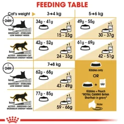 Hot Royal Canin - Dry Royal Canin - Ragdoll Breed Adult Cat Dry Food (2kg)