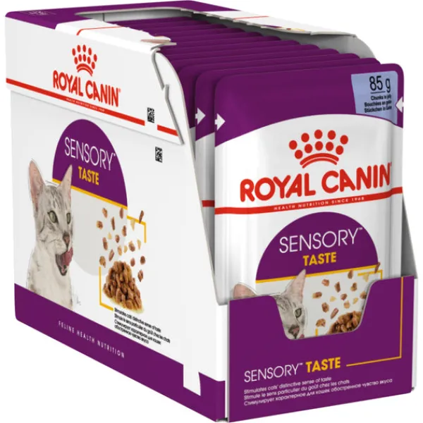 Best Royal Canin - Wet Royal Canin - Sensory Taste Jelly Adult Cat Wet Food (85g x 12pk)