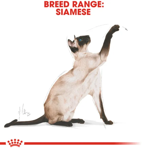 Clearance Royal Canin - Dry Royal Canin - Siamese Breed Adult Cat Dry Food (4kg)