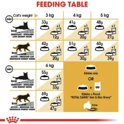 Clearance Royal Canin - Dry Royal Canin - Siamese Breed Adult Cat Dry Food (4kg)