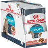 Online Royal Canin - Wet Royal Canin - Urinary Care Gravy Adult Cat Wet Food (85g x 12pk)