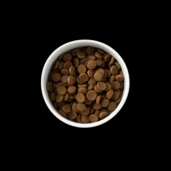 New SavourLife - Foods SavourLife - Essentials Beef Dog Dry Food (3kg)