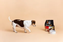 Fashion SavourLife - Foods SavourLife - Essentials Beef Dog Dry Food (15kg)