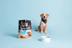 Best SavourLife - Foods SavourLife - Essentials Chicken Puppy Dry Food (15kg)