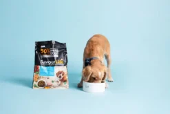 Best SavourLife - Foods SavourLife - Essentials Chicken Puppy Dry Food (15kg)