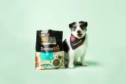 Best SavourLife - Foods SavourLife - Essentials Ocean Fish Dog Dry Food (3kg)