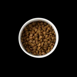 Outlet SavourLife - Foods SavourLife - Grain Free Chicken Puppy Dry Food (10kg)