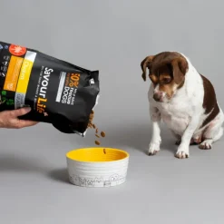 Discount SavourLife - Foods SavourLife - Grain Free Chicken Dog Dry Food (10kg)