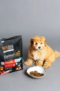 Outlet SavourLife - Foods SavourLife - Grain Free Chicken Puppy Dry Food (10kg)