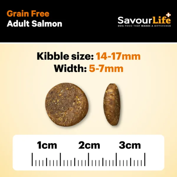 Best SavourLife - Foods SavourLife - Grain Free Salmon Dog Dry Food (2.5kg)
