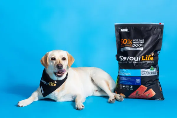 Best SavourLife - Foods SavourLife - Grain Free Salmon Dog Dry Food (2.5kg)