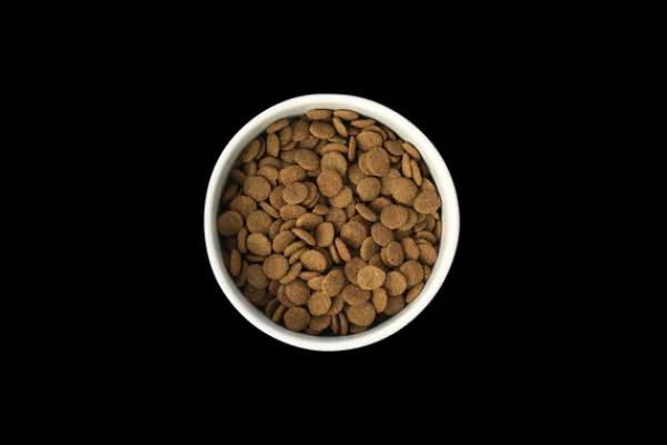 Outlet SavourLife - Foods SavourLife - Grain Free Turkey CarePlus Lean Dog Dry Food (10kg)