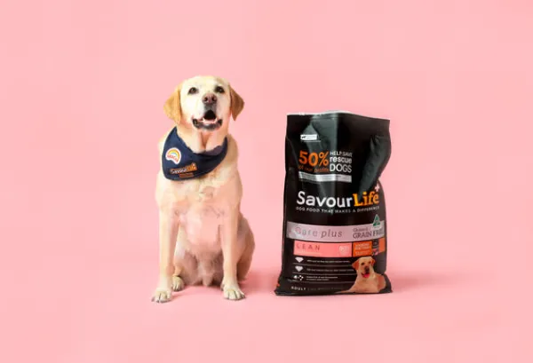 Outlet SavourLife - Foods SavourLife - Grain Free Turkey CarePlus Lean Dog Dry Food (10kg)