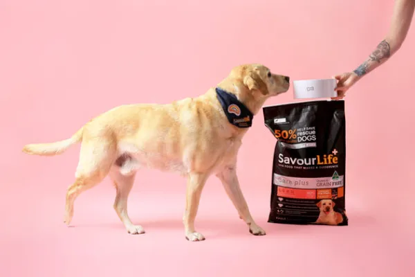 Outlet SavourLife - Foods SavourLife - Grain Free Turkey CarePlus Lean Dog Dry Food (10kg)