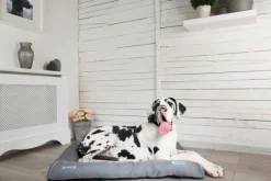 Sale Scruffs - Cool Bed (75 x 53cm)