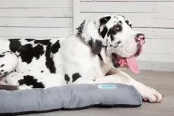 Sale Scruffs - Cool Bed (75 x 53cm)