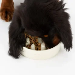 New Scruffs - Icon Slow Feeder Pet Bowl Cream (16cm)