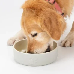 New Scruffs - Icon Slow Feeder Pet Bowl Light Grey (20cm)