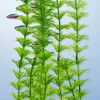 Outlet Tetra - Ambulia DecoArt Plant (Large)